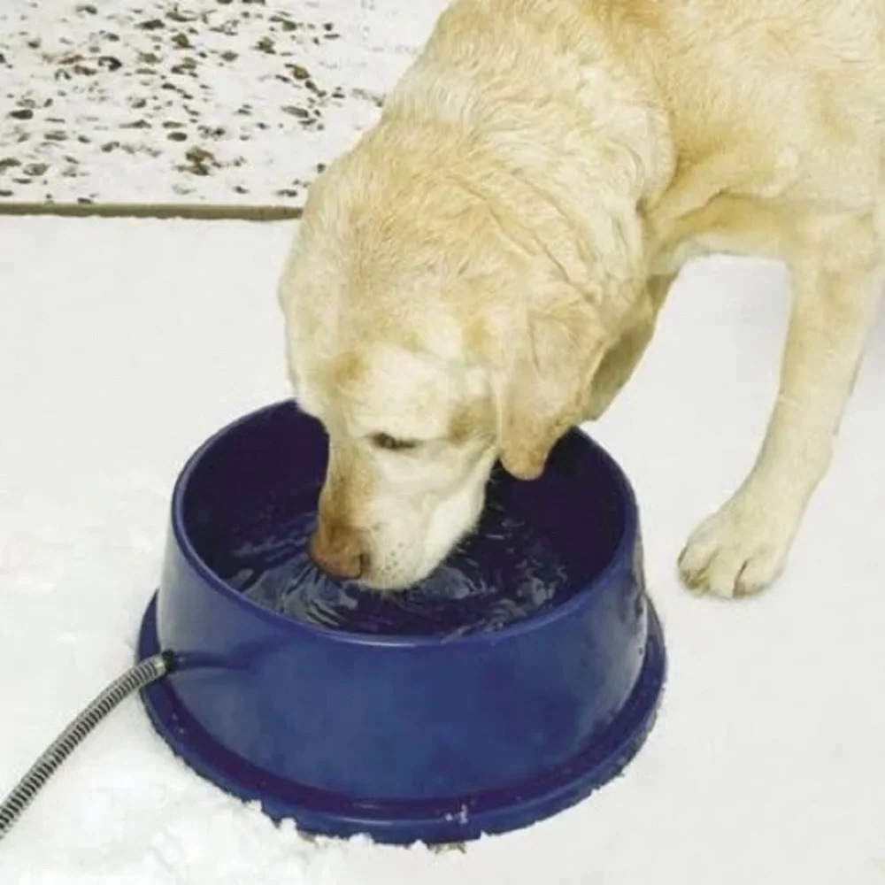 Heated Pet Bowl - Blue